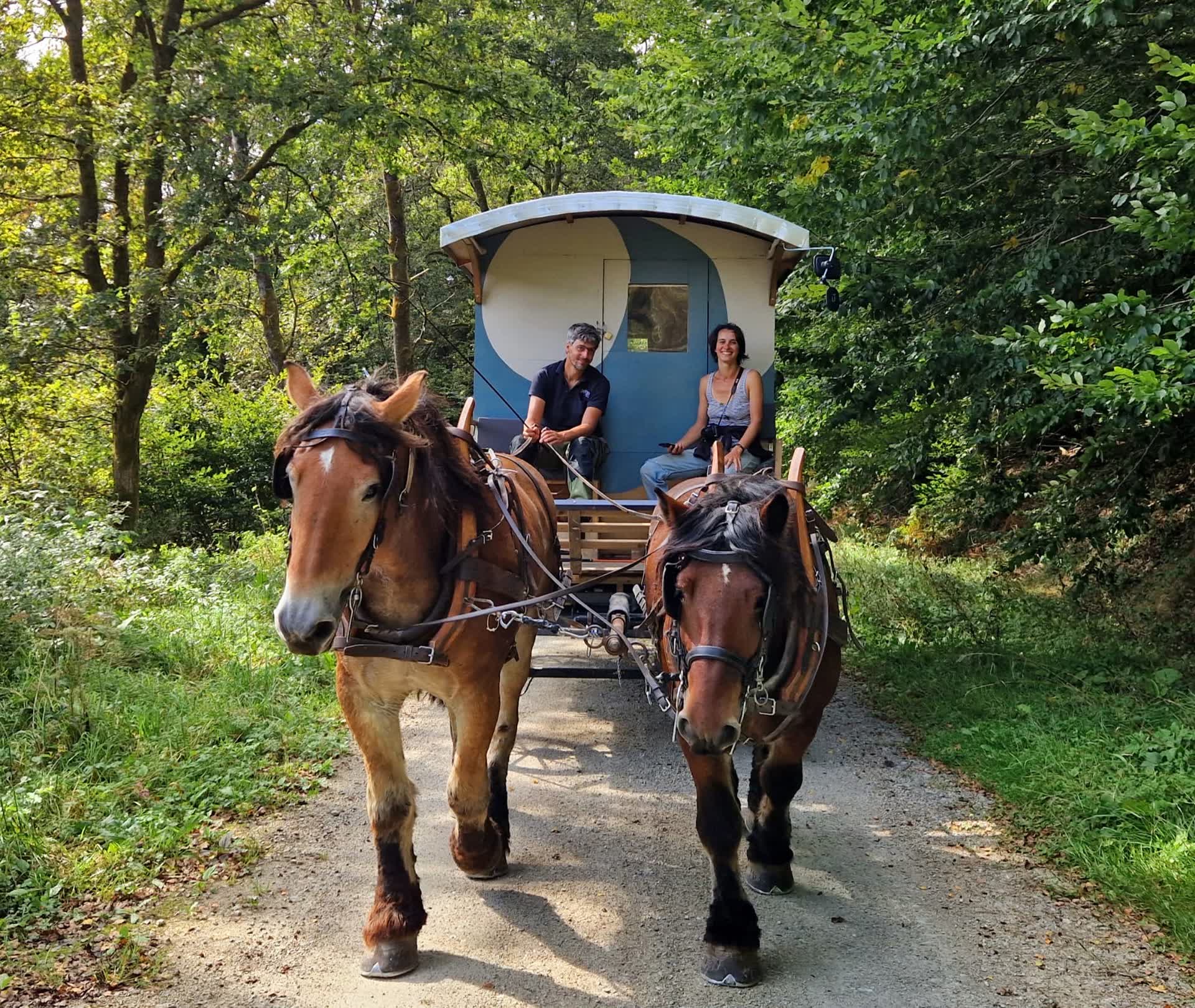 Une roulotte à La Caille