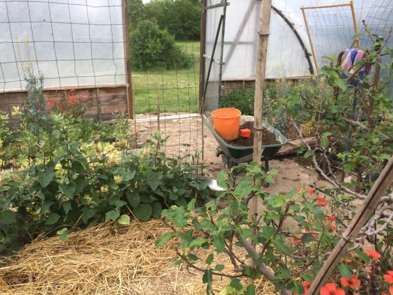 Jardin/Potager 'Serre'