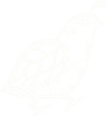 La Caille